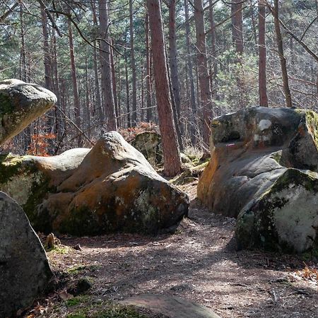 Logisfontainebleau Bed & Breakfast Villiers-sous-Grez Dış mekan fotoğraf