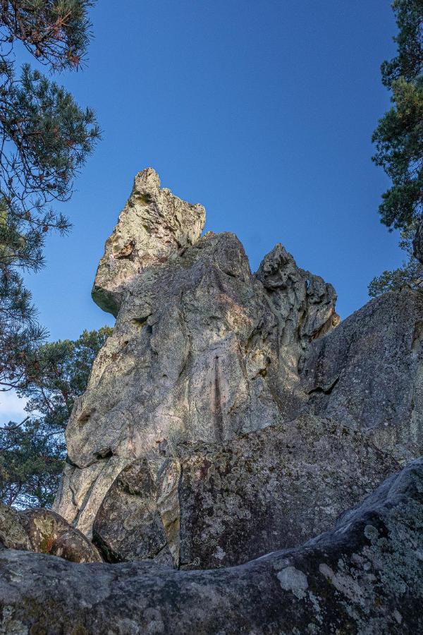 Logisfontainebleau Bed & Breakfast Villiers-sous-Grez Dış mekan fotoğraf